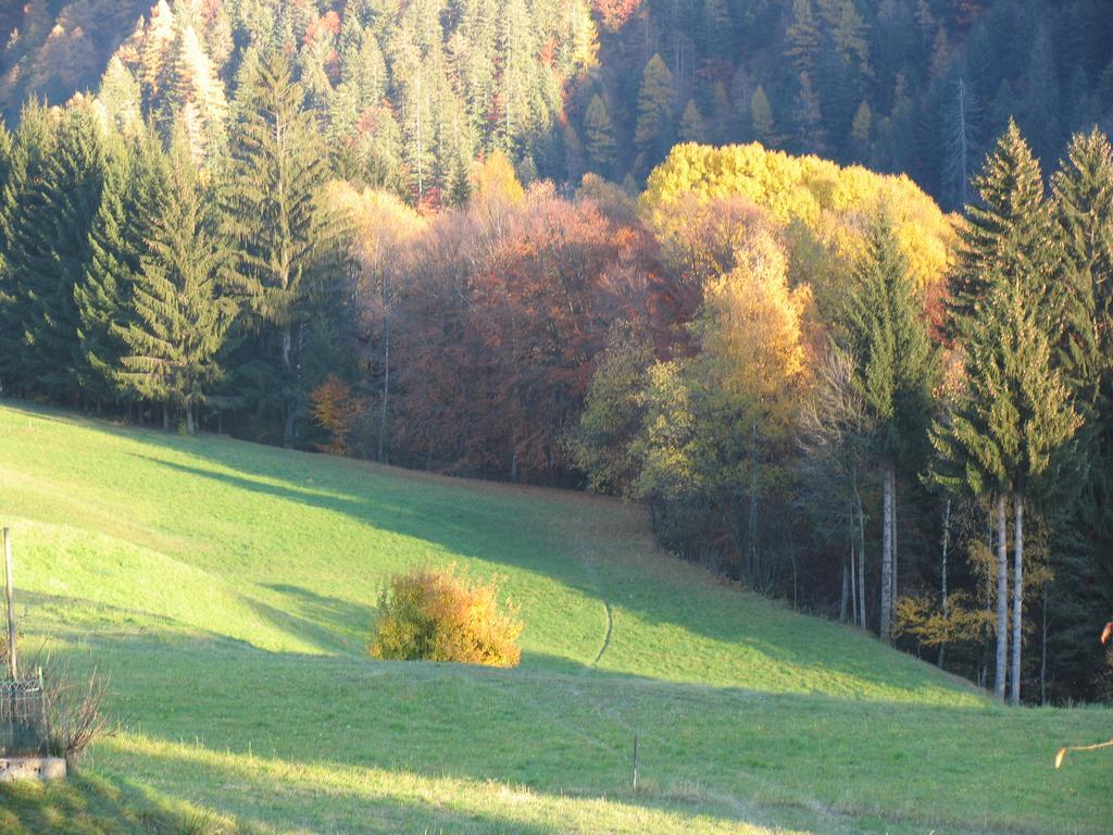 Апартаменти Dolomiti Di Brenta House Мадонна-ді-Кампільйо Номер фото